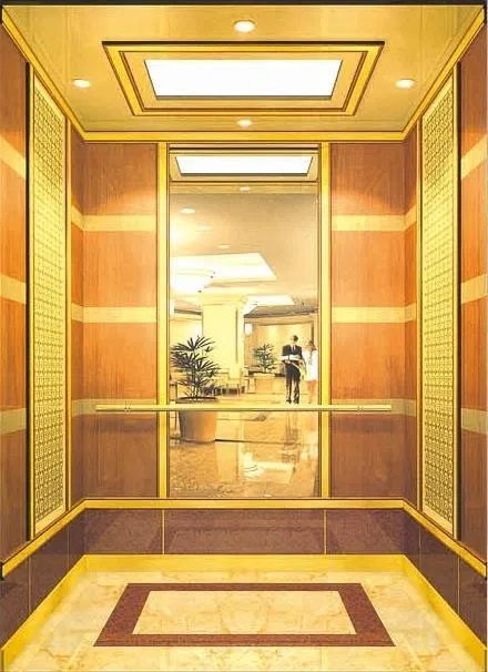 Luxurious Hotel Building Passenger Elevator