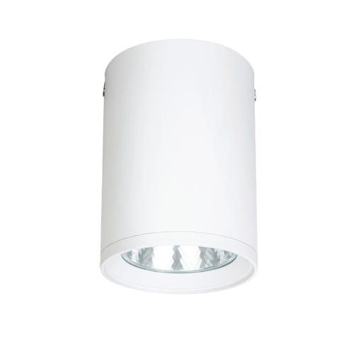 DOWNLIGHT-CEILING MOUNTED